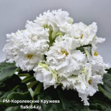 РМ-Королевские Кружева (Скорнякова) 